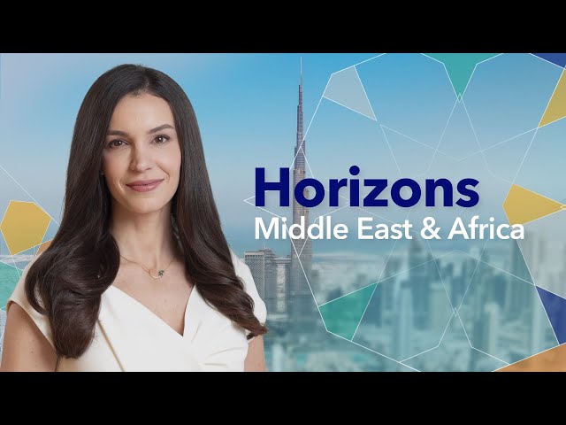 US Envoy in Israel for Talks; Adani Faces US Charges | Horizons Middle East & Africa 11/21/2024