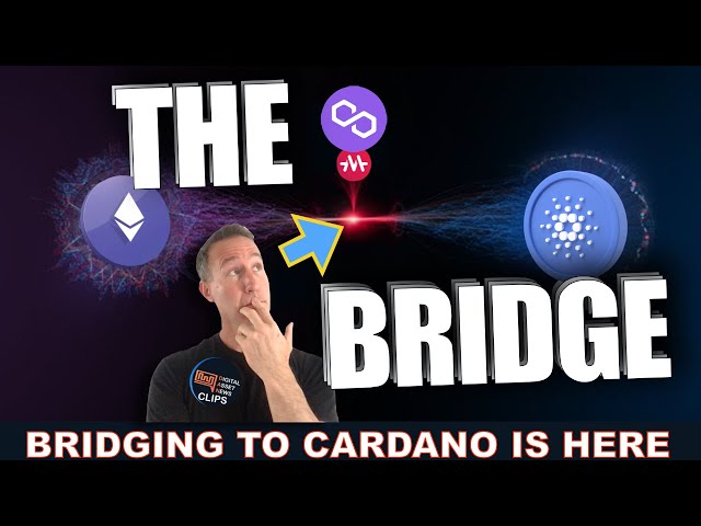 ADAMATIC: BRIDGING TO CARDANO WITH LOANS THAT PAY THEMSELVES