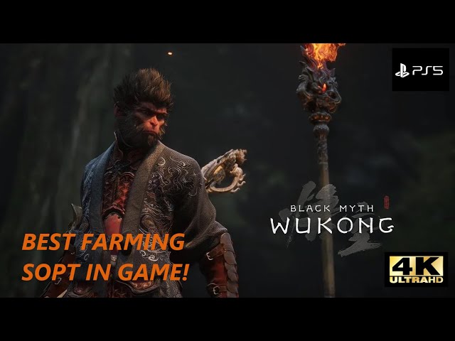 FARM LIKE A PRO! Unleashing Chapter 4’s Secret Farming Techniques! Black Myth Wukong NG+