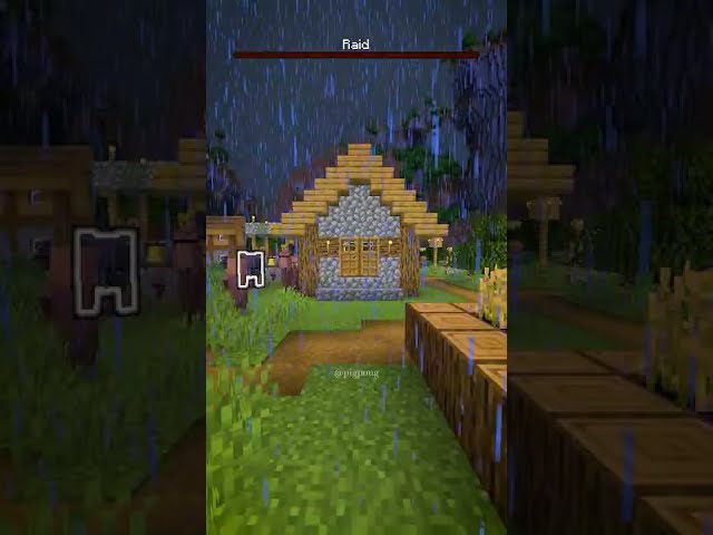 Minecraft VILLAGE Upgrade!