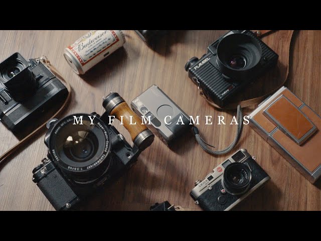 My Film Cameras