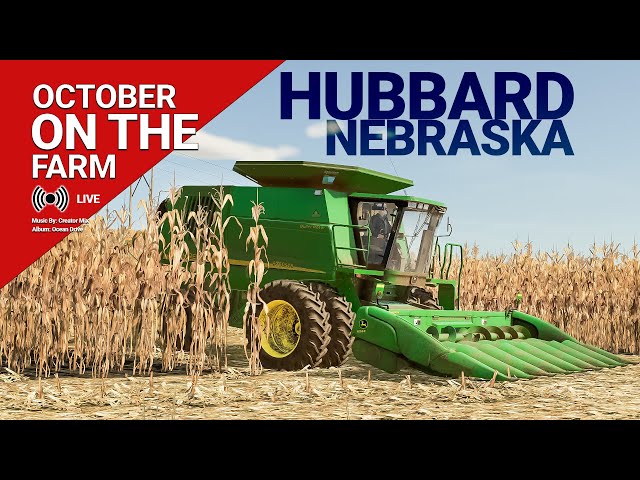 October Harvest - Hubbard, NE 16x