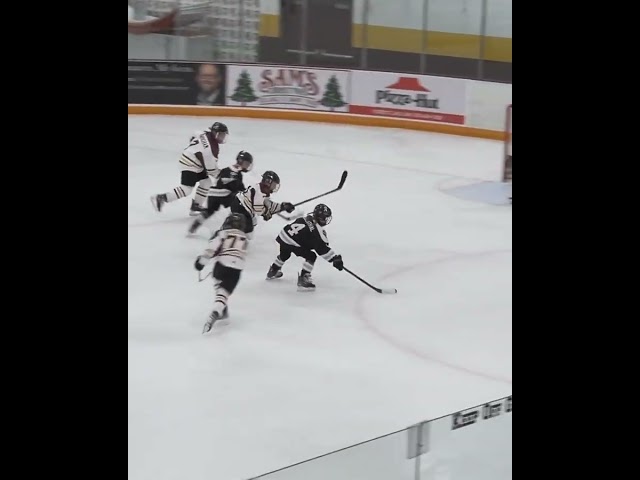 Haley Rosenthal sees two plays ahead of the offense #hockey #goals #sports #defense