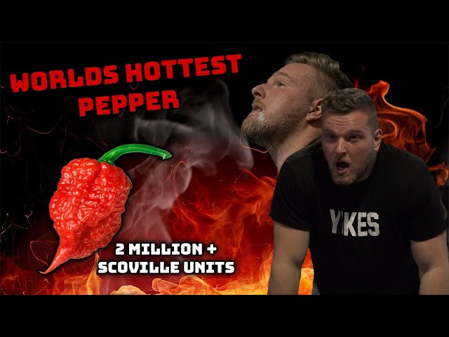 Pat McAfee Eats The World's Hottest Pepper | Office Olympics Day 3