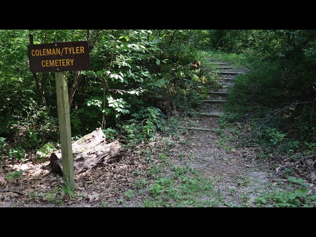 Exploring Dr. Edmund A. Babler State Park in Centaur, Missouri: June 2024 (Day 2)