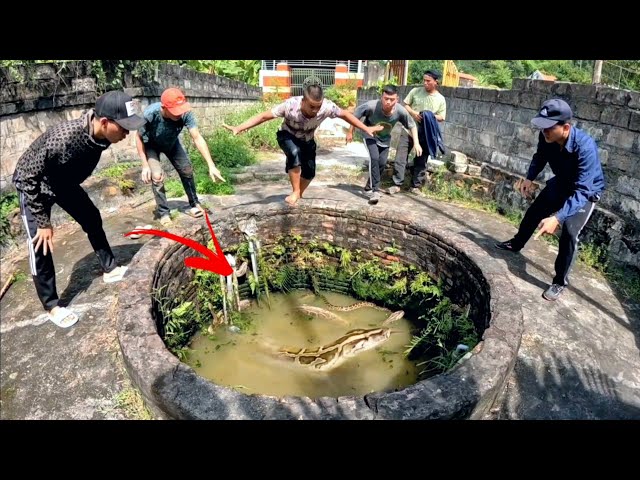 Brave Hunter Rescued 10 Giant Snakes From The Well