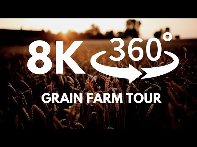 Grain Farming in Canada 8K 360VR Experience | VR Video production by Skylight Productions