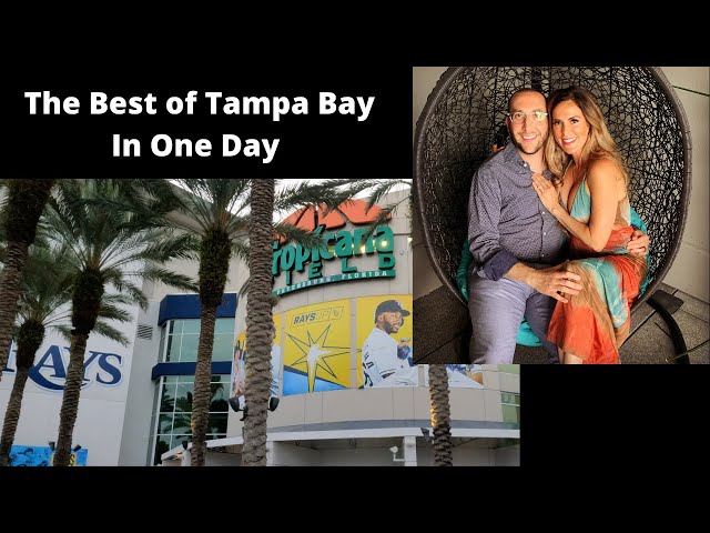 Exploring The Best of Tampa Bay