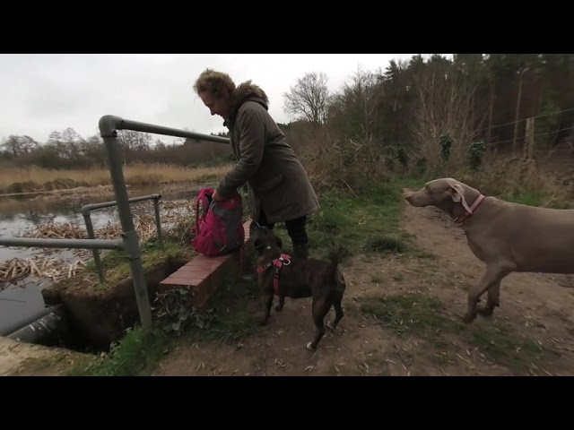 VR 180 Emily Ruby Jo and me by pond Herstmonceux footpath