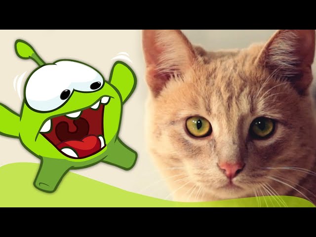 Om Nom Stories: Om Nom and Kitten | Funny Cartoons For Babies