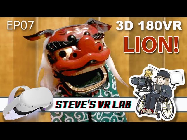 3D 180 VR 4K   LION DANCE! ASAKUSA JAPAN