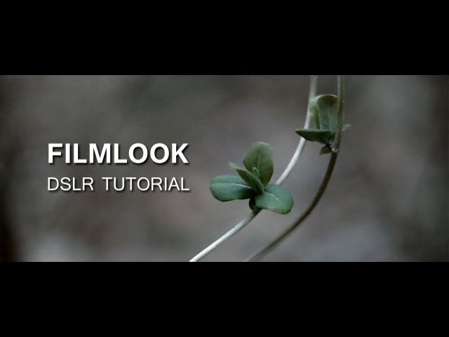 DSLR Tutorial: How to get the Filmlook & what you're doing wrong!