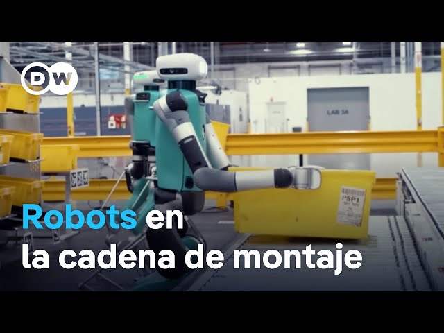 Mi nuevo compañero de trabajo: ¿un robot?