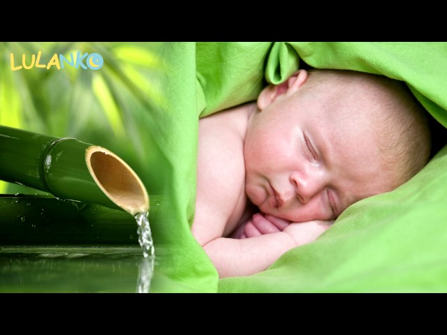 Water Fountain Sounds "Bamboo water white noise"