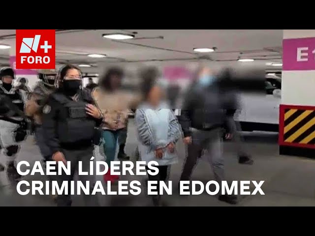 Detienen a líderes criminales y 10 miembros de célula en Amanalco, Estado de México - Las Noticias