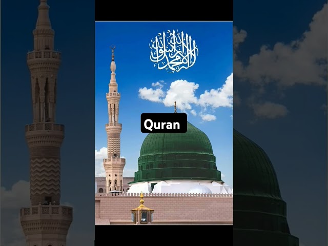 #surah Yousuf #Urdu tarjuma@Islamic videos@YouTube shorts