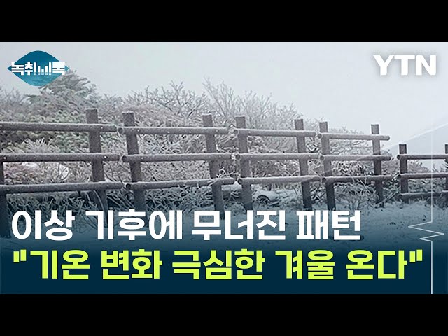 이상 기후에 무너진 패턴 ...기온 변화 극심한 겨울 예상 [Y녹취록] / YTN