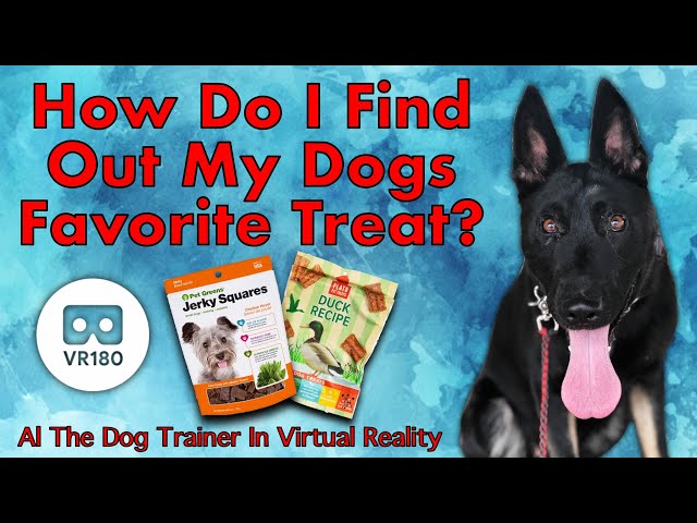 How to Find Out Which Food Your Dog Loves in 3D!