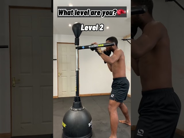 LEVELS OF BOXING TRAINING