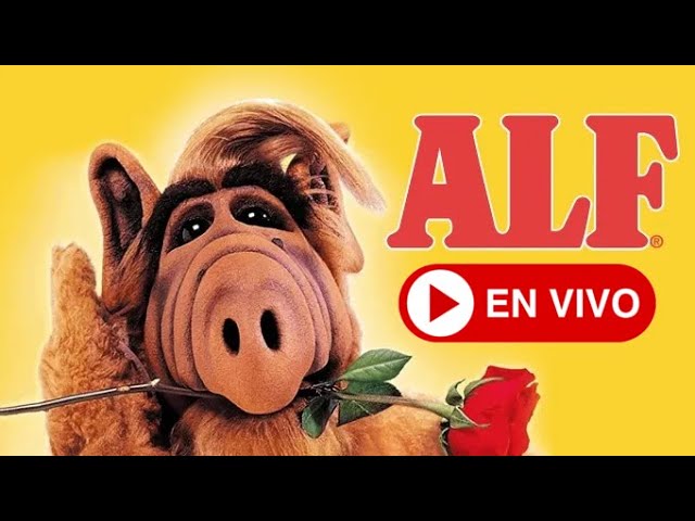 🌹 ALF Latino Español 🌹 Transmisión ahora 🌹❗️ALF in Spanish - Latin America @ALFtvOfficial