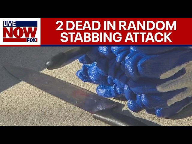 NYC stabbing: Random attack in Manhattan leaves 2 dead, 1 injured | LiveNOW from FOX