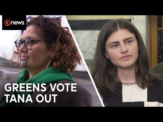 Green Party votes to remove Darleen Tana from Parliament | 1News on TVNZ+