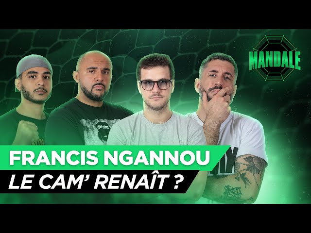 🥊 Ngannou : peut-il encore être champion en MMA ?