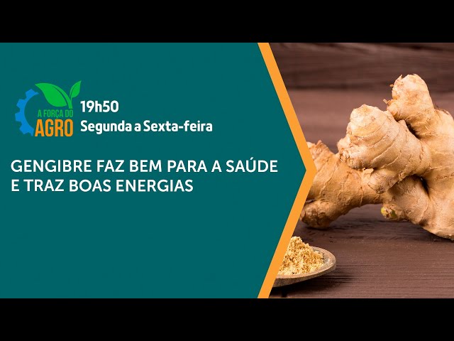 A Força do Agro - Gengibre faz bem para a saúde e traz boas energias