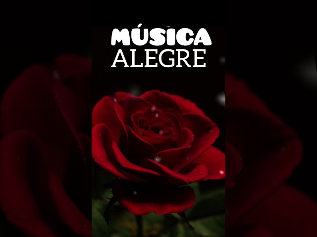 MÚSICA ALEGRE PARA ANIMARSE, Para Bailar, Relajante, Música Para Disfrutar en Pareja 💖