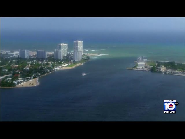 Port Everglades corals being surveyed ahead of widening $1.3 billion project