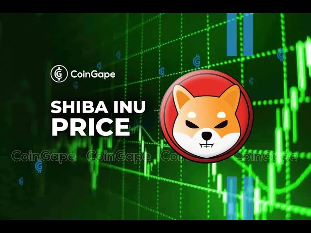 SHIBA INU PRICE PREDICTION!!! CRYPTO BULL RUN SOON!!! GRIND TO 1000 SUBS!!!!! 24 HOUR STREAM!!!