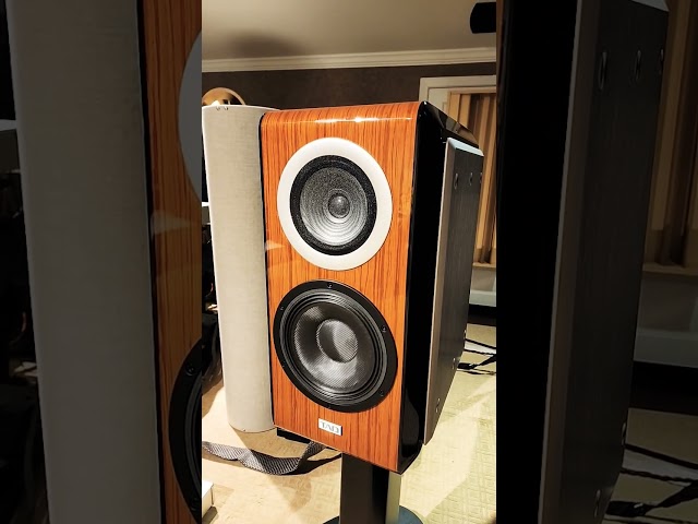 Unbelievable Audio Quality - These are the BEST Monitor Speakers EVER!! #audiophile #music