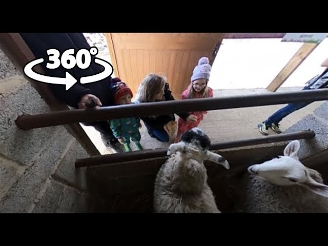 360 VR - A Day at Boston Park Farm 2022 (Part 1)