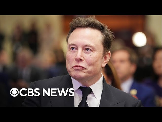 Examining Elon Musk's influence on Trump's transition process