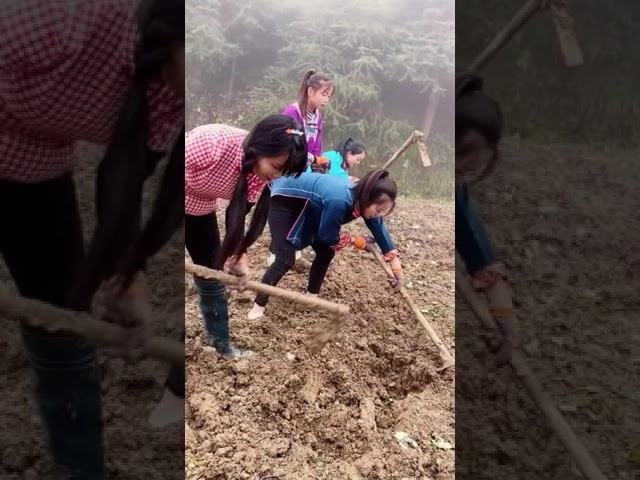 Rural Life in China