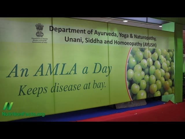 Amla vs. Cancer Cell Invasion