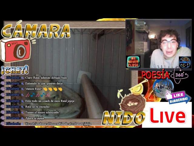 CÁMARA NIDO - ABRO LLAMADA - NOCHE RARA - MAÑANA CERO PORROS - LIVE CAM CANARIOS