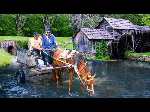 200 YEAR OLD MILL in Azerbaijan - Grandma and Grandpa Made Rice Flour and Rice Halwa