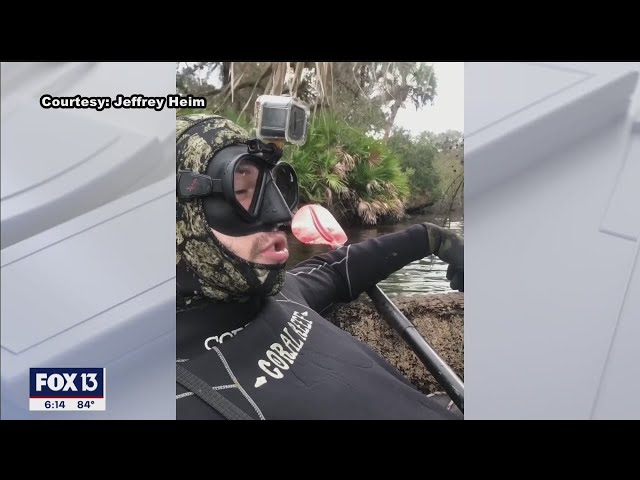 Gator attack caught by man's GoPro camera