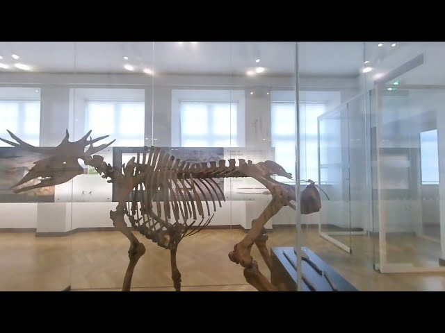 The Danish National Museum - The Long Journey - Hunting on the Tundra