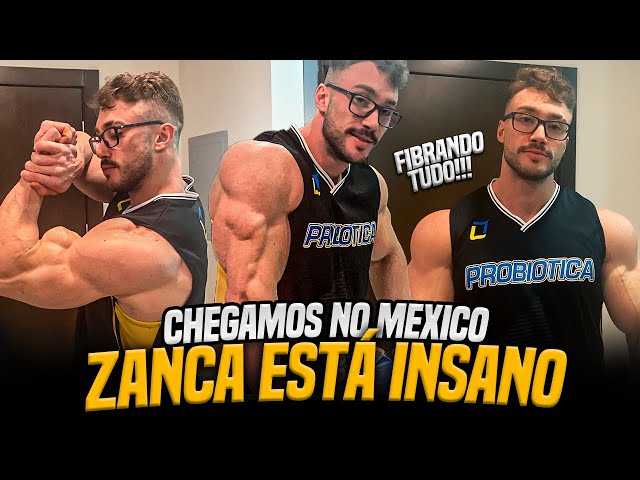 CHEGAMOS NO MÉXICO! ZANCA ESTÁ INCRÍVEL!