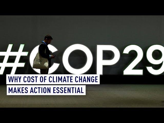 Why cost of climate change makes action essential