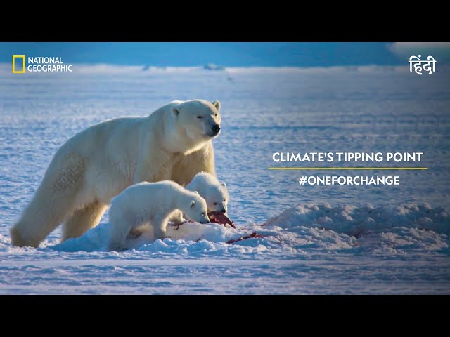 Climate's Tipping Point | #OneForChange | हिन्दी | National Geographic