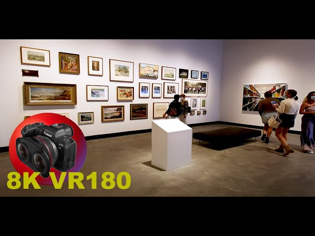 8K VR180 3D Home of the Arts HOTA new main exhibition (Travel, ASMR/Music, Canon 5.2mm Dual Fisheye)