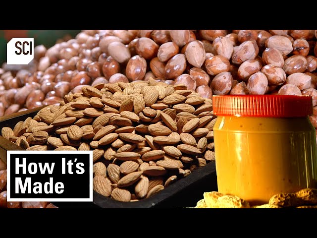 How Peanut Butter, Walnuts, Almonds & More Are Made! | How It’s Made | Science Channel