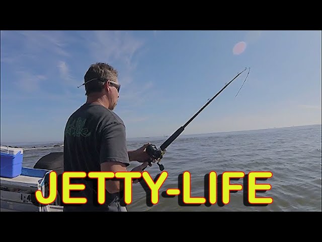 MAYPORT JETTY FISHING ''crazy'' DAYS