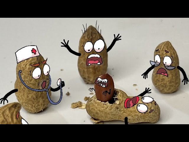 Hilarious Doodles Attempt Wild Hacks! Kitchen Mishaps #GOODLAND #doodles #Fruitsurgery #animation