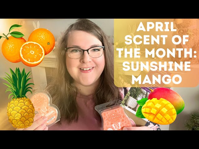 Scentsy April Scent of the Month : Warm Review! 🥭🍍🍊