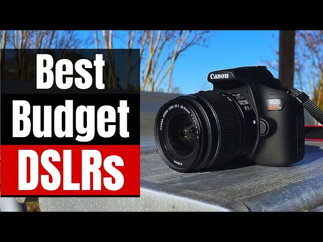 Best Budget-Friendly DSLRs in 2024: Shoot Stunning Photos and Videos Beginners