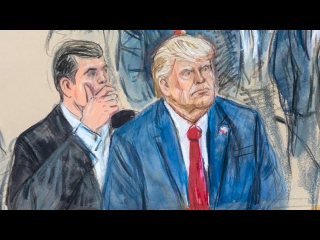 Trump pleads not guilty to federal charges